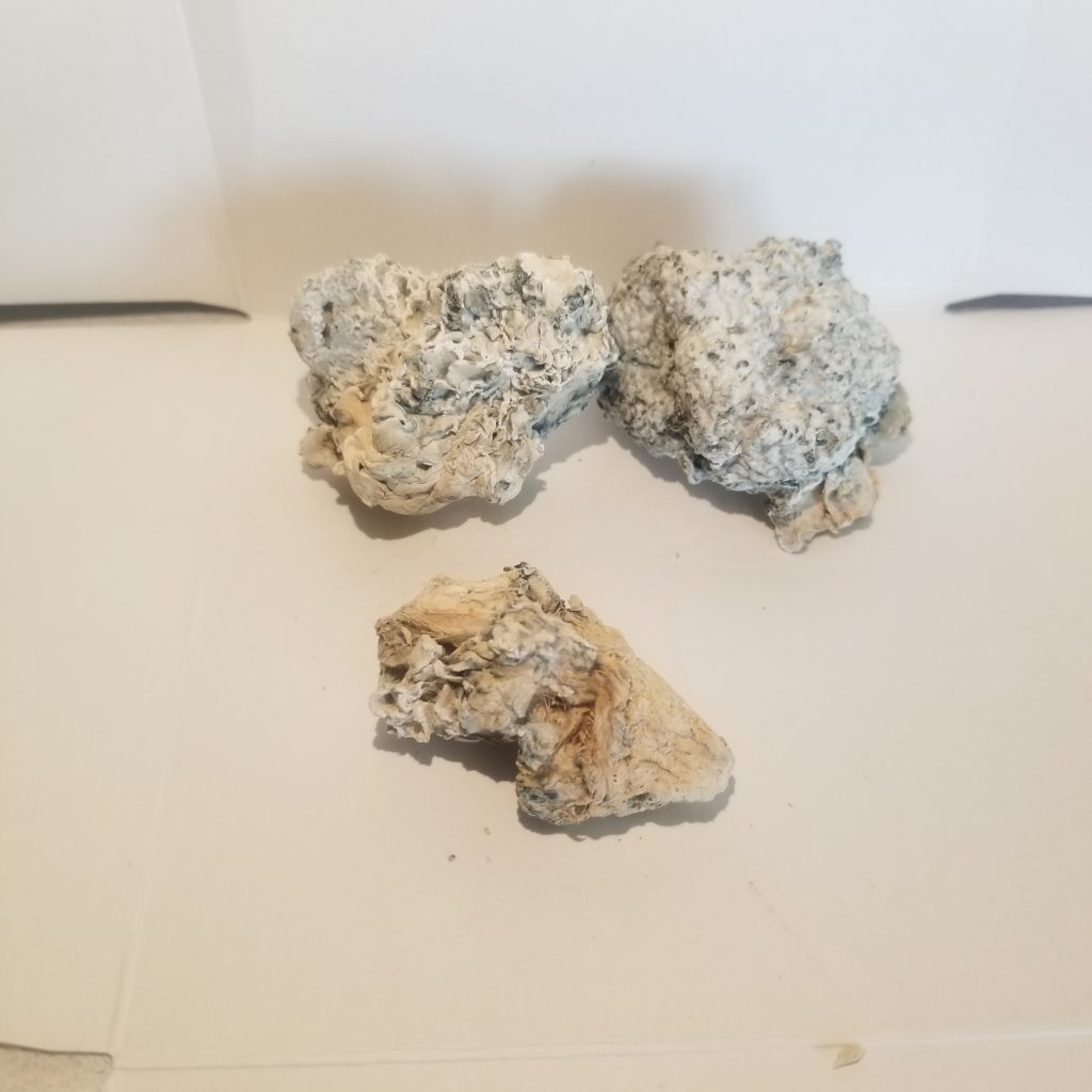 Enigma Rocks Enigma | MYBROKENHEAD